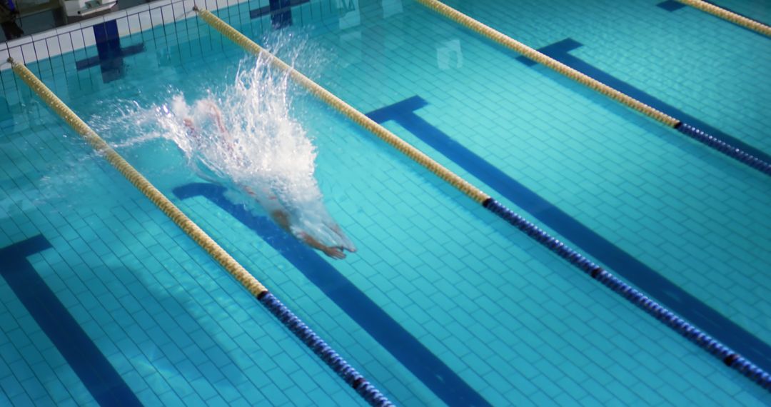 Professional swimmer diving into pool during competition - Free Images, Stock Photos and Pictures on Pikwizard.com