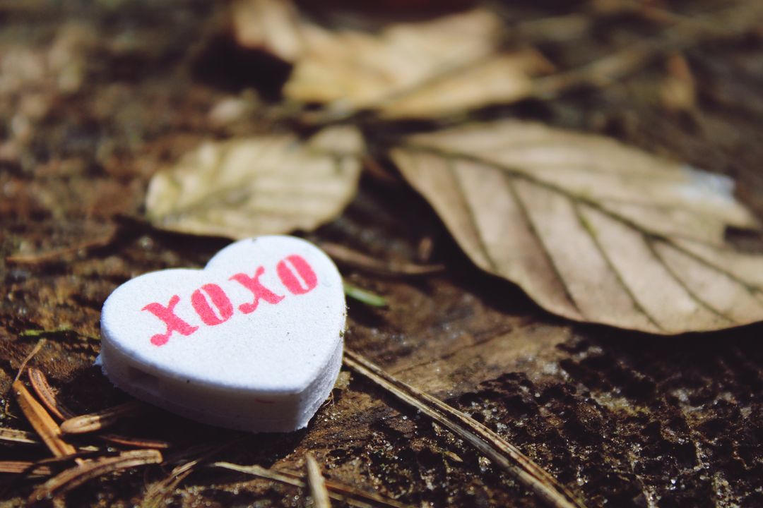 Romantic Heart-Shaped Candy with 'XOXO' Message on Forest Floor - Free Images, Stock Photos and Pictures on Pikwizard.com