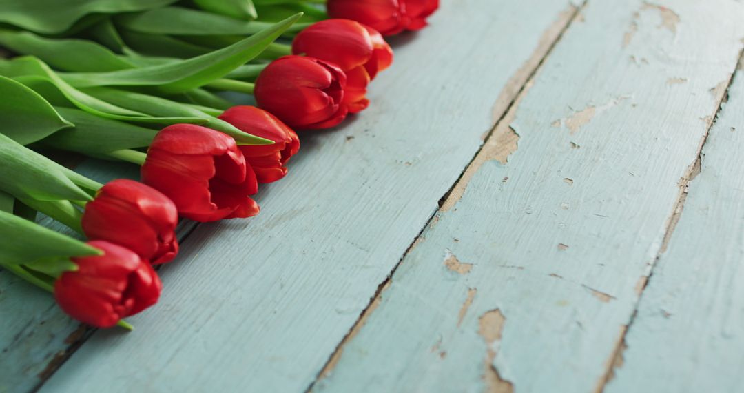 Red Tulips Lying on Rustic Wooden Table