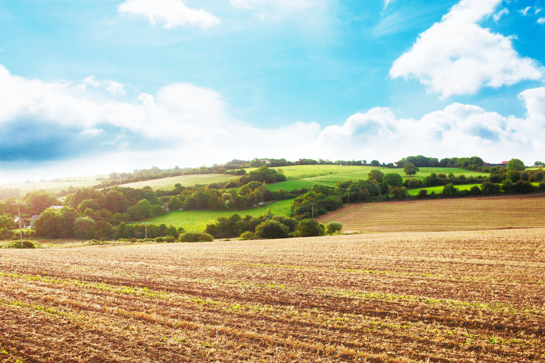 Transparent Summer Landscape with Rolling Hills and Farmlands - Download Free Stock Images Pikwizard.com