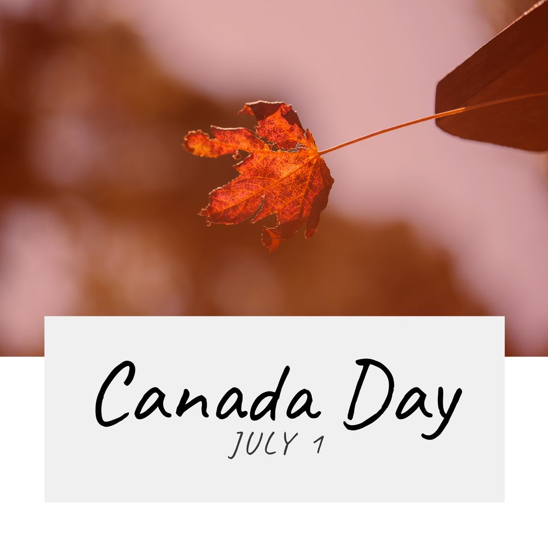 Canada Day Celebration with Maple Leaf Theme - Download Free Stock Images Pikwizard.com