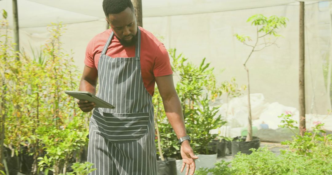 Focused Horticulturist Examining Seedlings in Nursery with Tablet