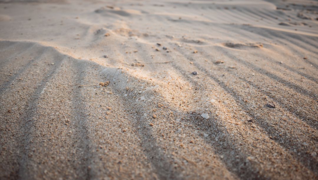 Golden sand ripples catching warm low sunlight with shell fragments and pebbles