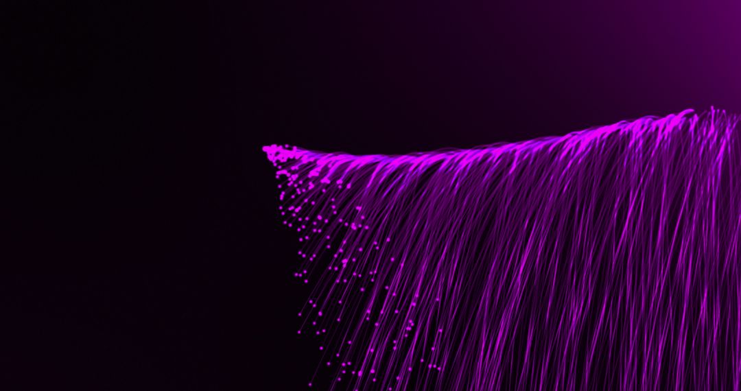 Mesmerizing Purple Light Trails in Motion on Black Background