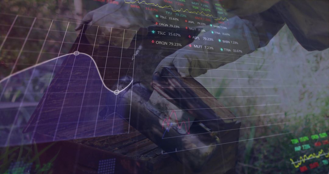 Beekeeper and Financial Analytics Merging Nature and Technology