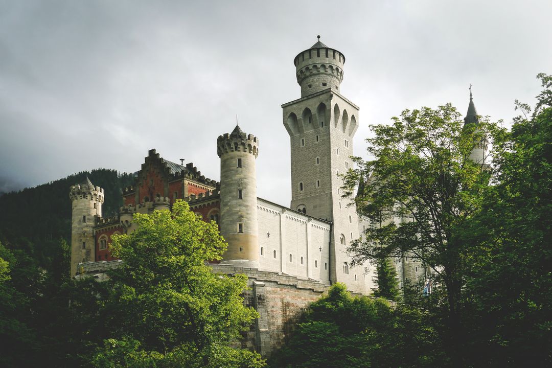 Historic Medieval Castle in Lush Green Forest - Free Images, Stock Photos and Pictures on Pikwizard.com