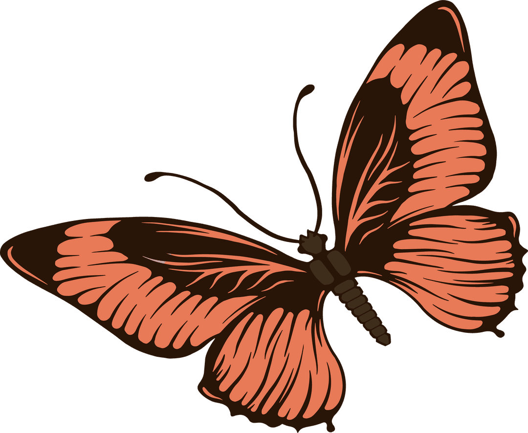 Stylized Butterfly Art on Transparent Background with Coral Wings
