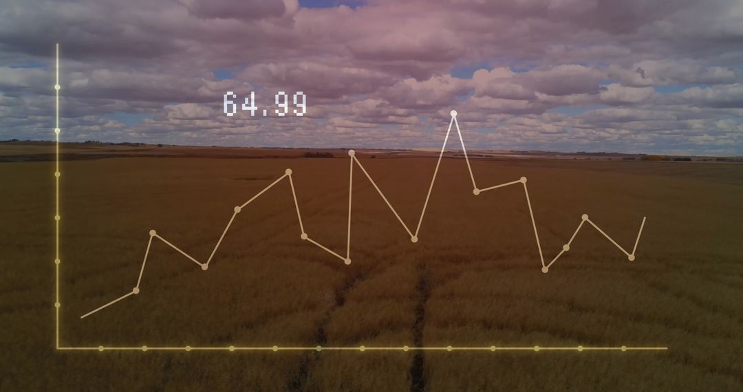 Data Analytics Overlay on Rural Wheat Field Drone View