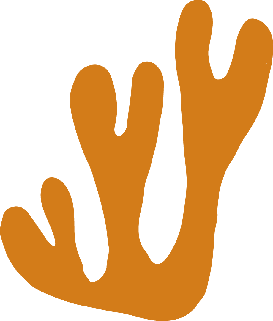 Colorful Abstract Coral Branch Design on Transparent Background