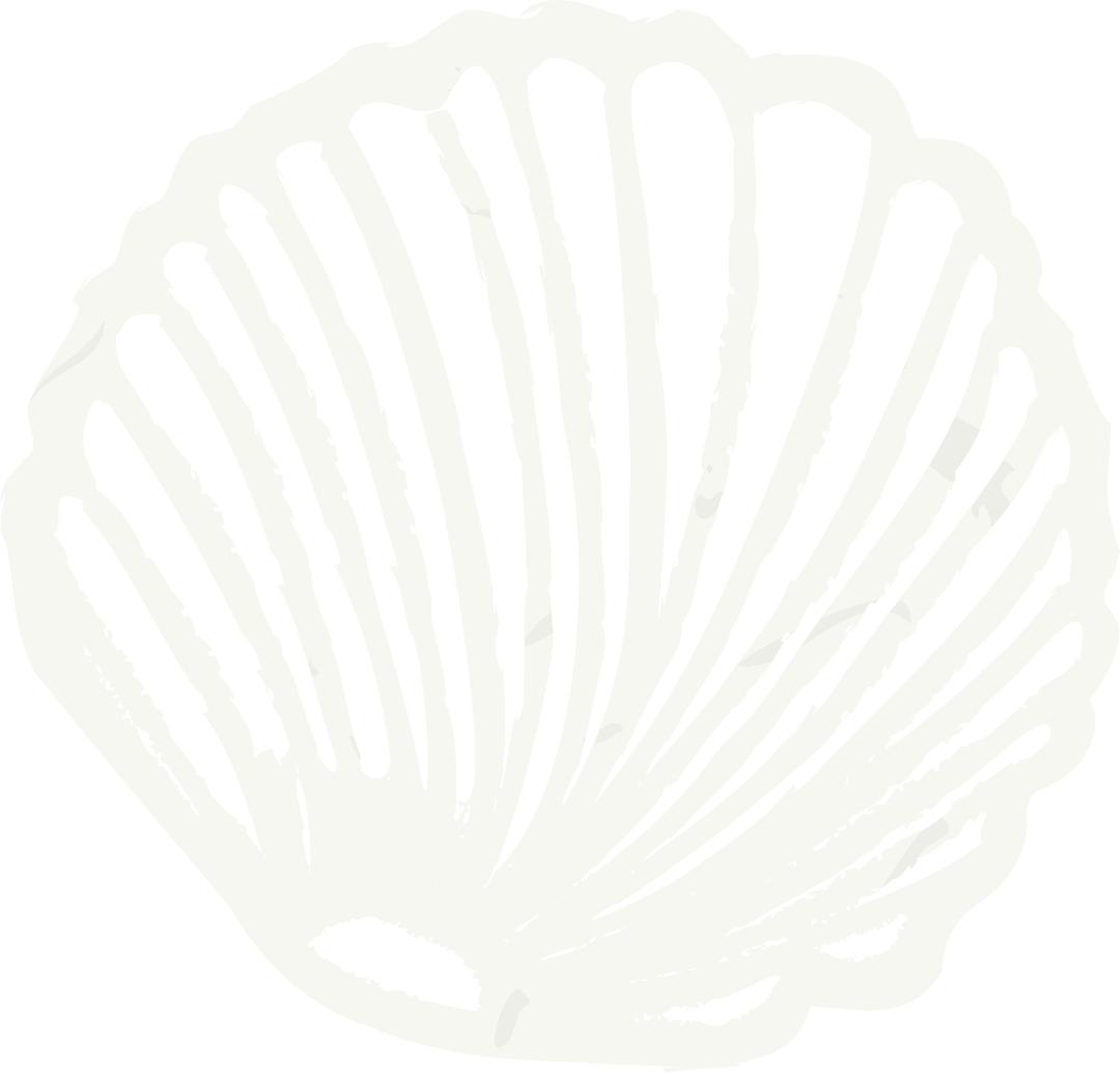 Minimalist Scallop Seashell Silhouette on Transparent Background