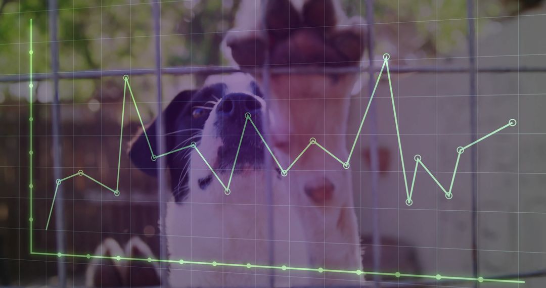 Dog Behind Fence with Digital Analytics Overlay