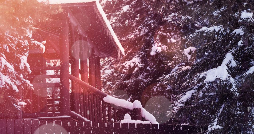 Serene Winter Forest with Sunspots Illumination