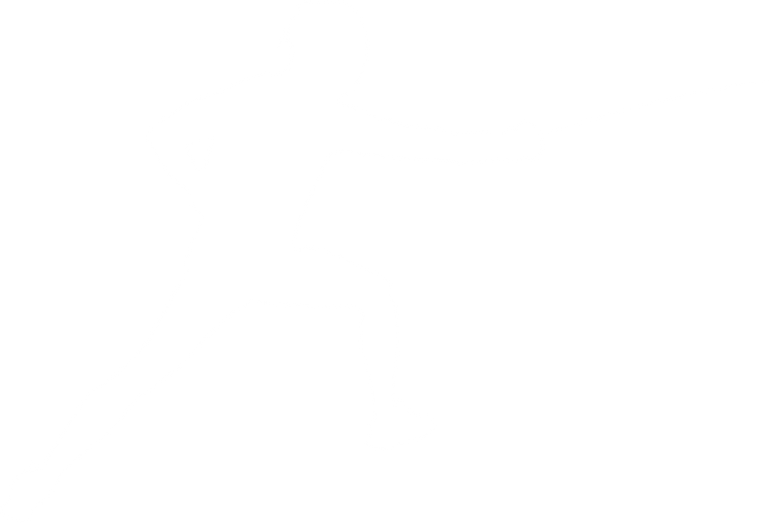 Transparent Silhouette of Male Fencer in Action Pose - Download Free Stock Images Pikwizard.com