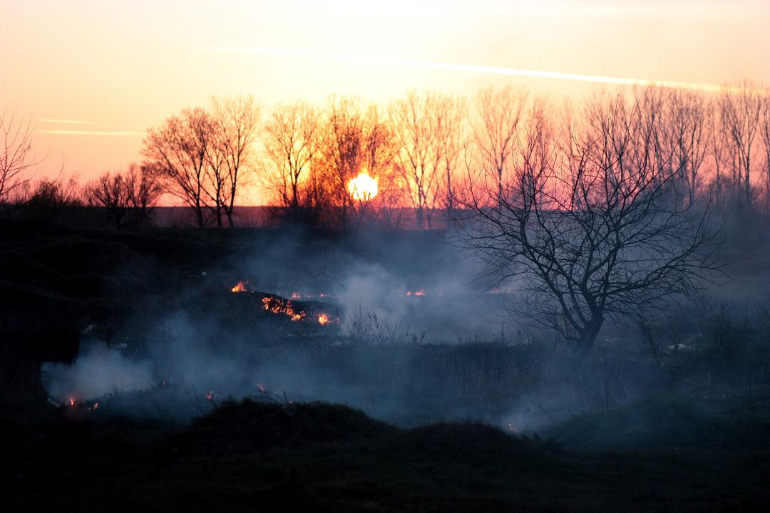 Smoke Rising from Fires in Landscape at Dusk - Free Images, Stock Photos and Pictures on Pikwizard.com