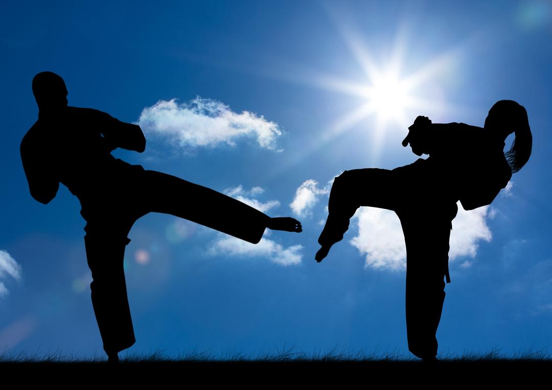 Silhouette of athletes practicing karate on a sunny day - Free Images, Stock Photos and Pictures on Pikwizard.com