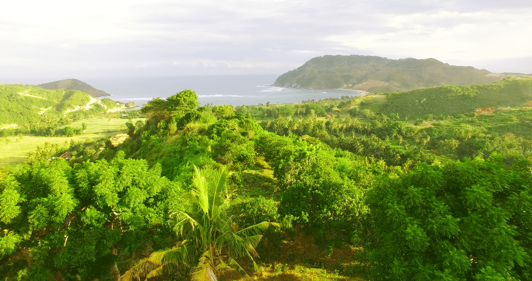 Transparent Clouds Over Lush Green Landscape With Hills by Ocean