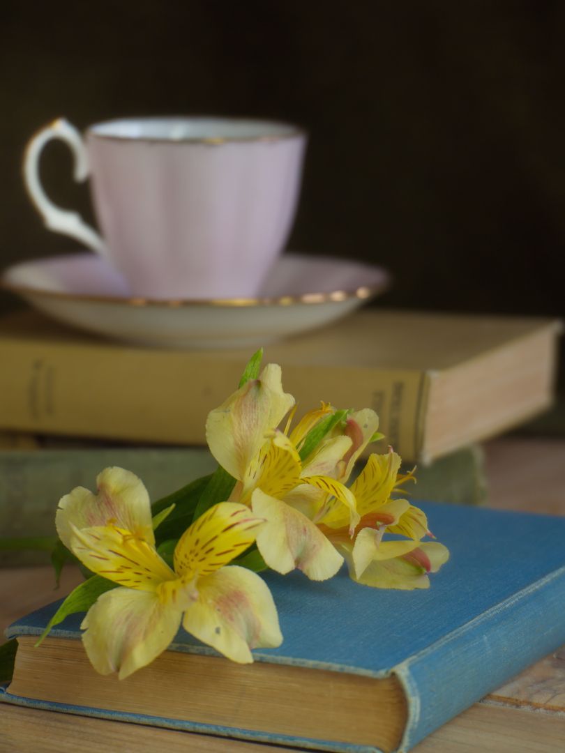 Vintage Still Life Scene with Books and Tea Cup