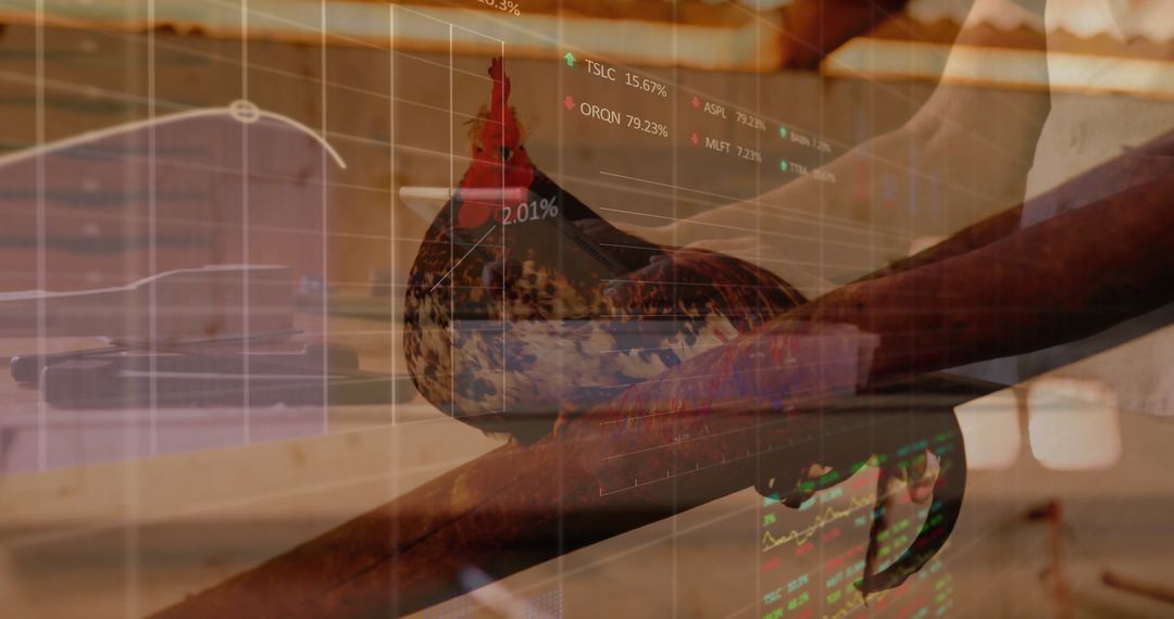 Rooster Perched with Stock Market Graphs Overlay in Barn