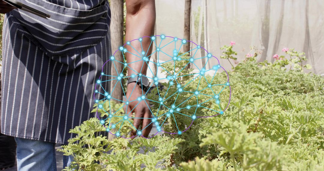 Tending herb bed in greenhouse wearing striped apron with AI neural network overlay