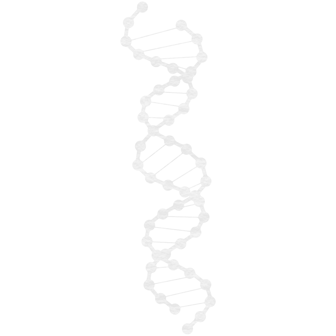 Abstract Transparent DNA Helix on Clear Background