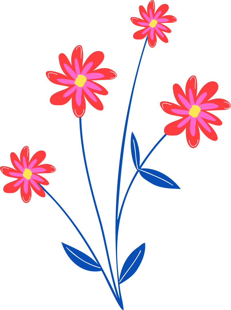 Vector Daisies with Red and Pink Petals on Transparent Background