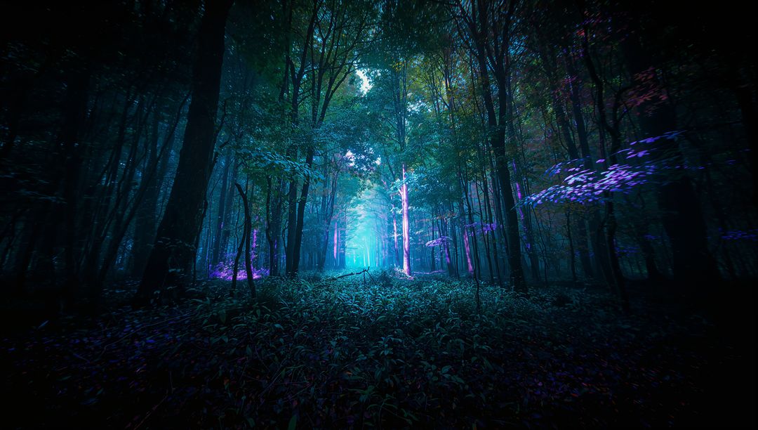 Mystical Forest Illuminated by Ethereal Glow