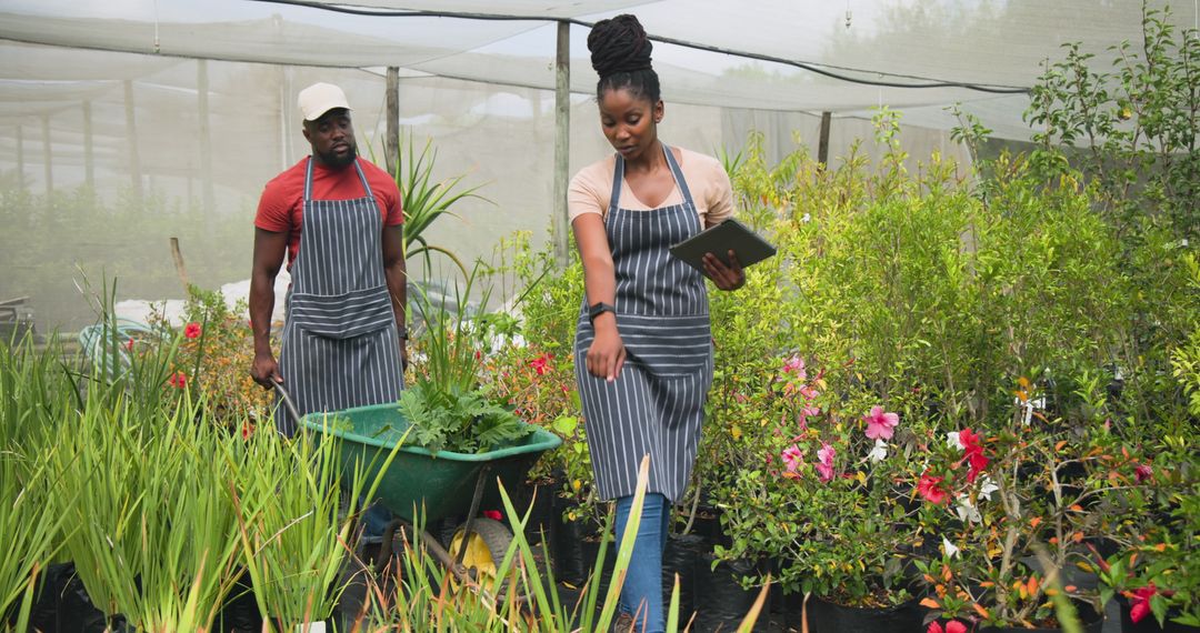 Greenhouse Workers Organizing Plants Using Tablet and Wheelbarrow