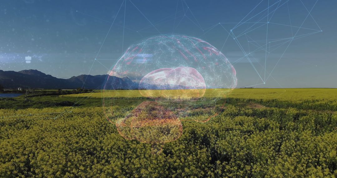 Futuristic Brain Graphic Over Scenic Flowering Field