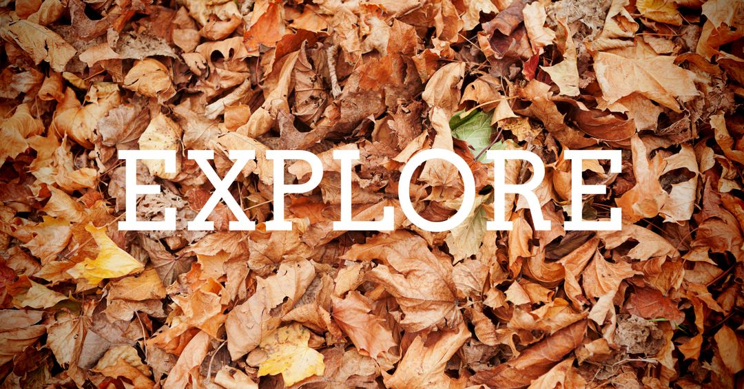 Inviting Adventure Autumn Leaves with Explore Text Overlay