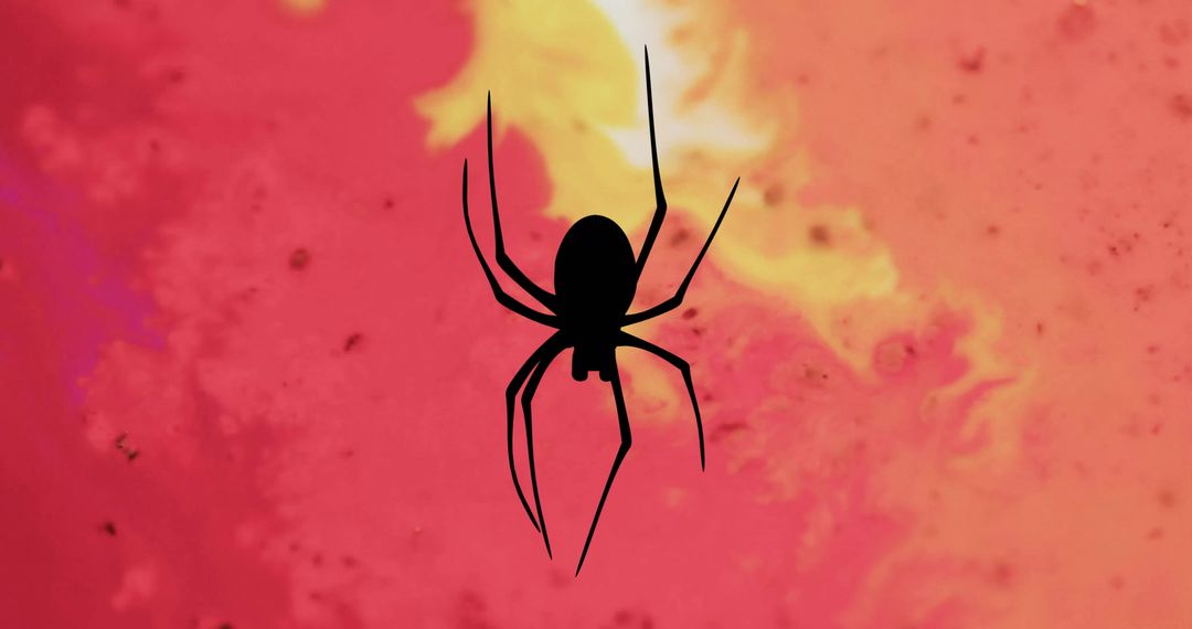 Silhouette of Spider on Vibrant Red Abstract Background