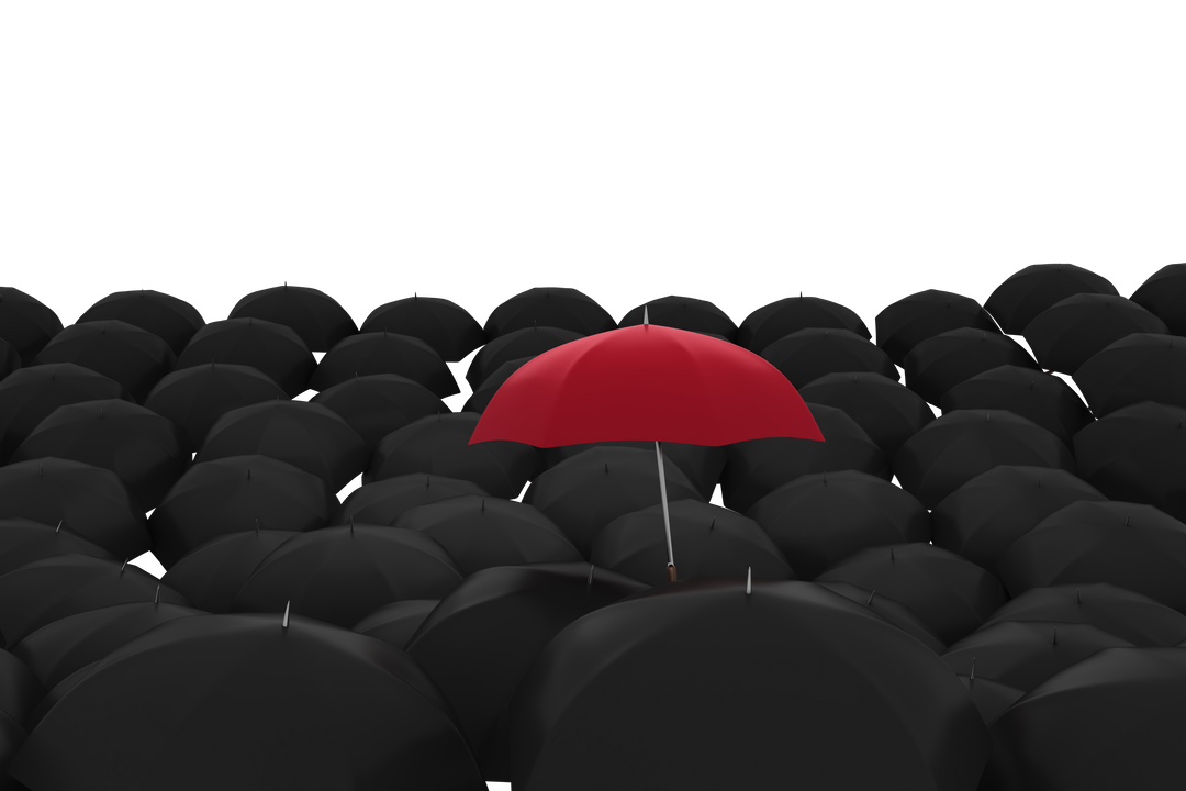 Red Umbrella Standing Out Amidst Black Umbrellas on Transparent Background - Download Free Stock Images Pikwizard.com