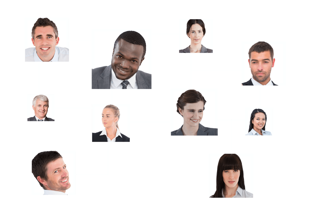 Transparent Network of Diverse Business Professionals in Connections Grid