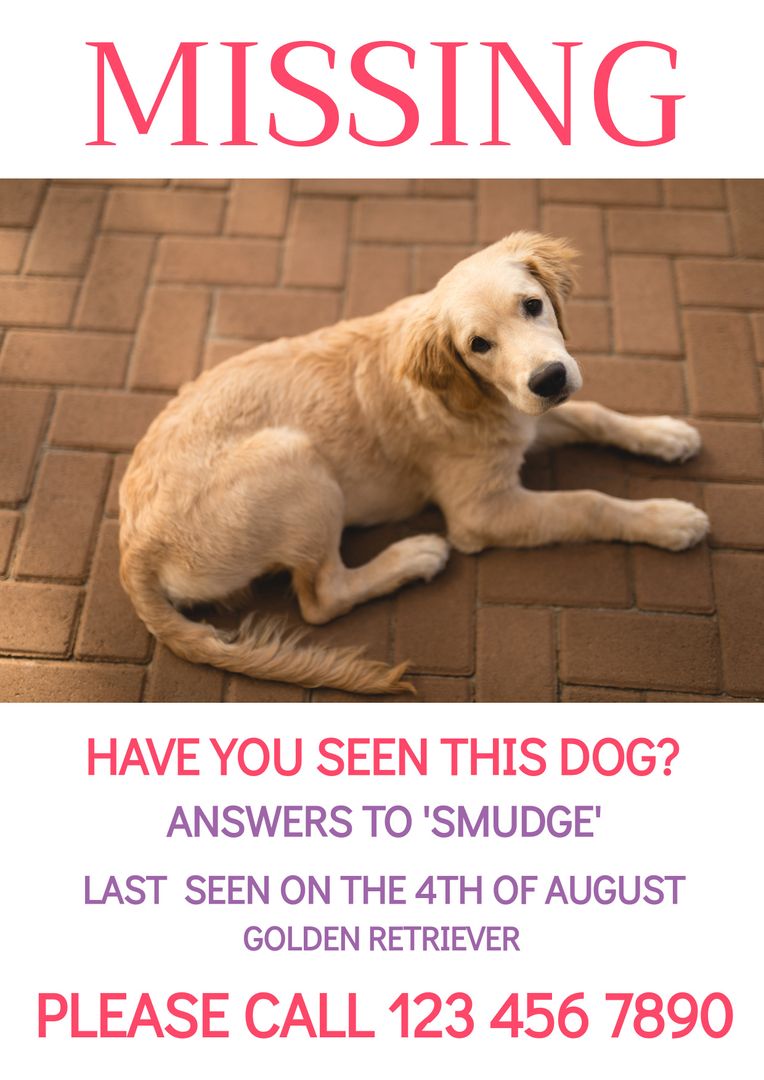 Missing Dog Poster Template with Golden Retriever on Brick Background - Download Free Stock Templates Pikwizard.com