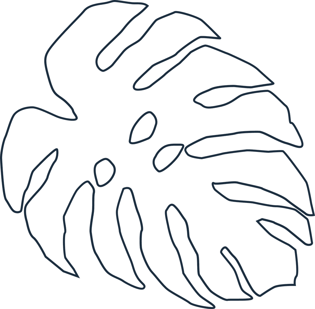 Stylized Monstera Leaf Line Art on Transparent Background