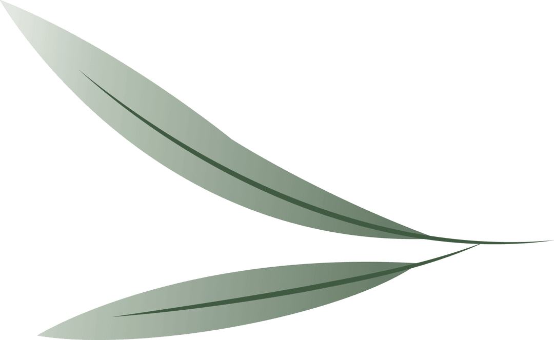 Transparent Background Floating Green Botanical Leaves Illustration