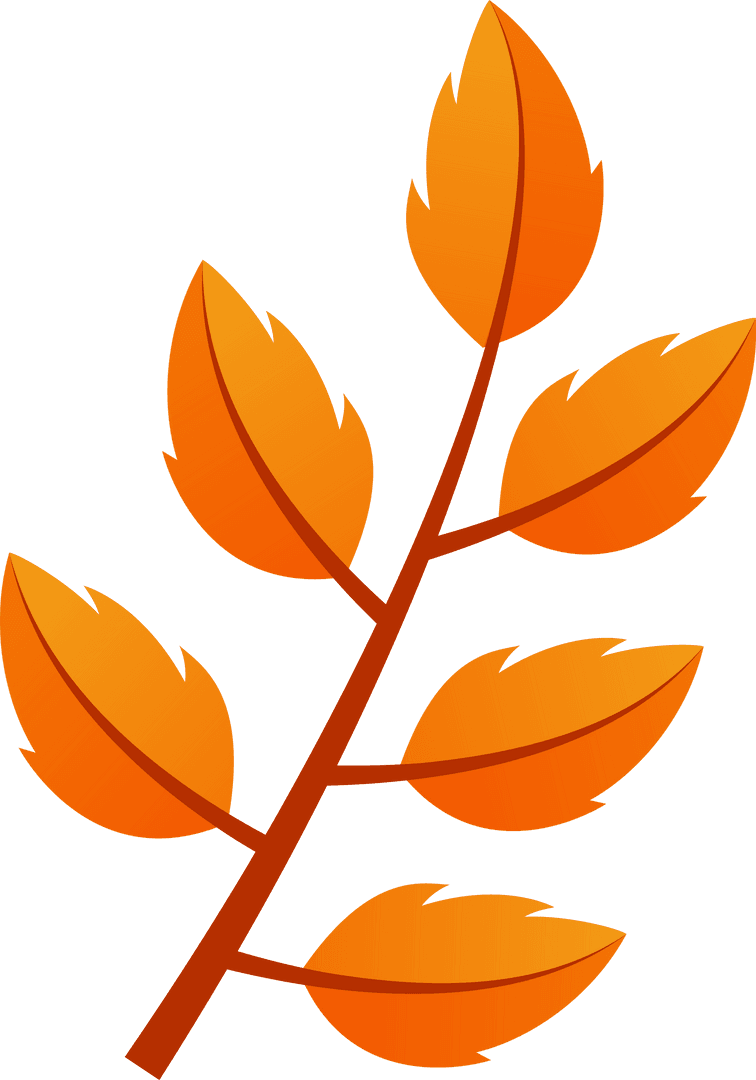 Vivid Orange Leaf Branch with Transparent Background