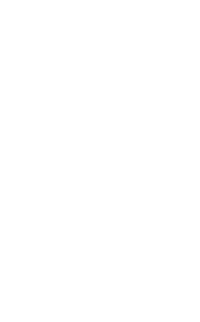 Transparent Silhouette of Male Archer with Bow and Arrow on Transparent Background - Download Free Stock Images Pikwizard.com