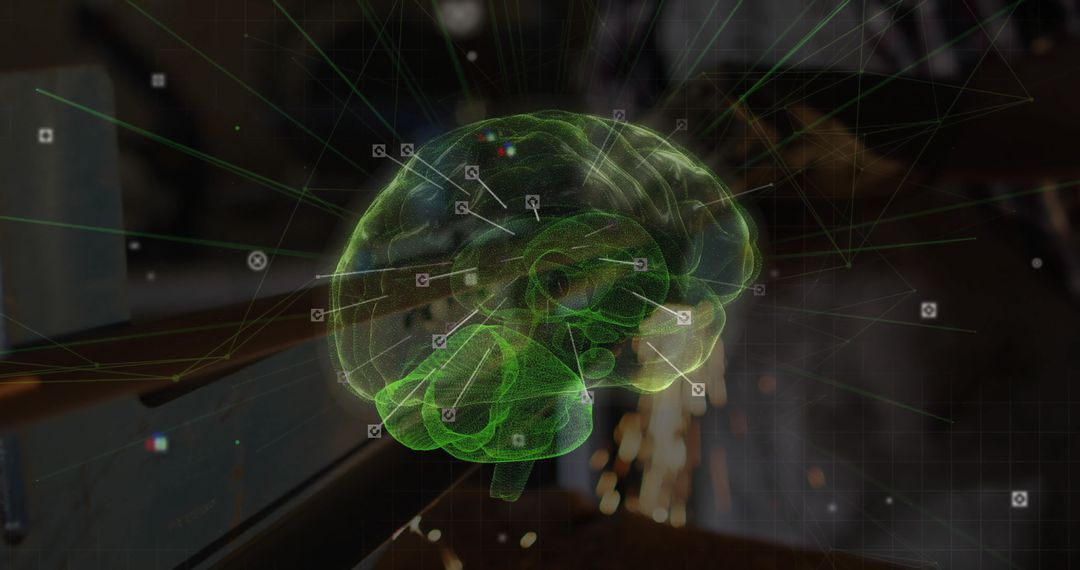 3D Holographic Brain Model with Data Annotations in Workshop