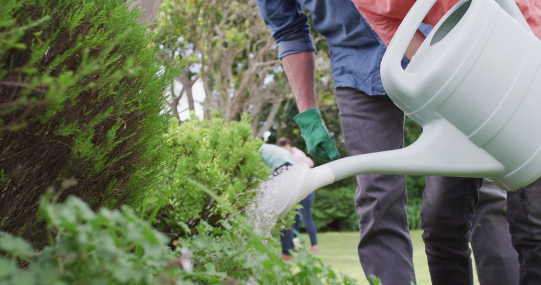 Gardeners Watering Plants Outdoors on Sunny Day - Free Images, Stock Photos and Pictures on Pikwizard.com