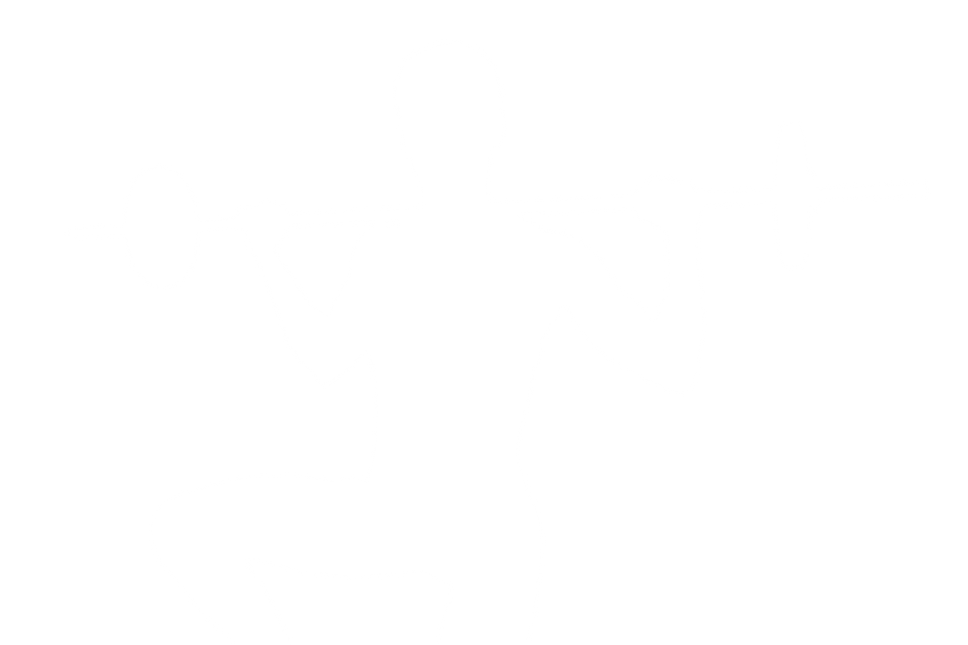 Transparent Silhouette Male Athlete Lifting Barbell - Download Free Stock Images Pikwizard.com