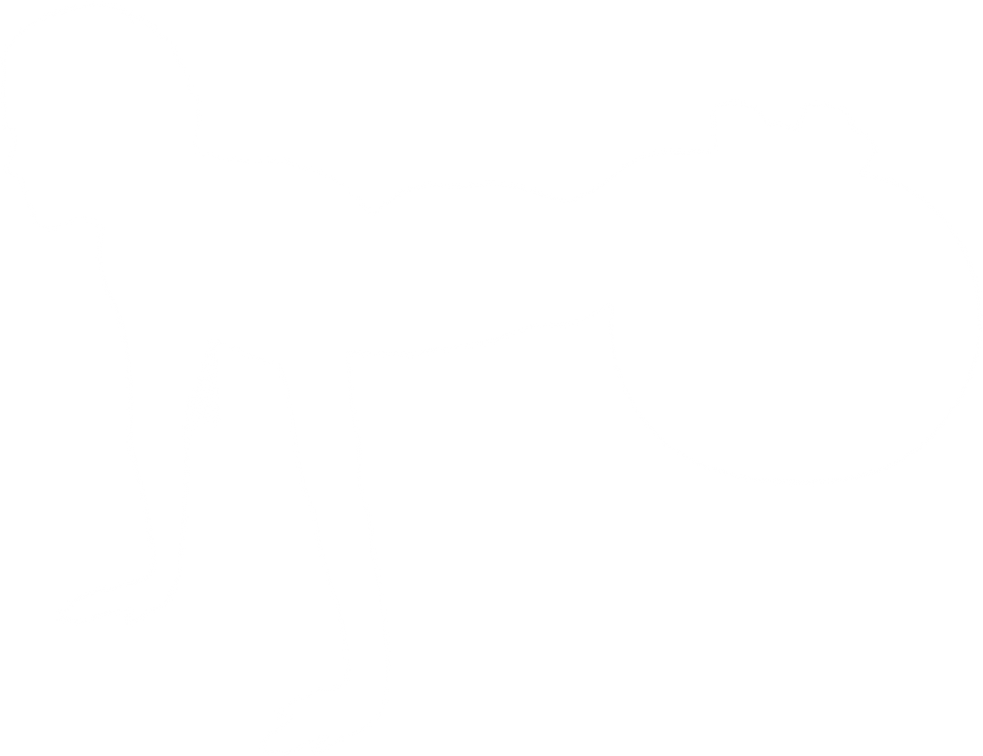 Transparent Silhouette Woman Performing Push-up using Exercise Ball - Download Free Stock Images Pikwizard.com