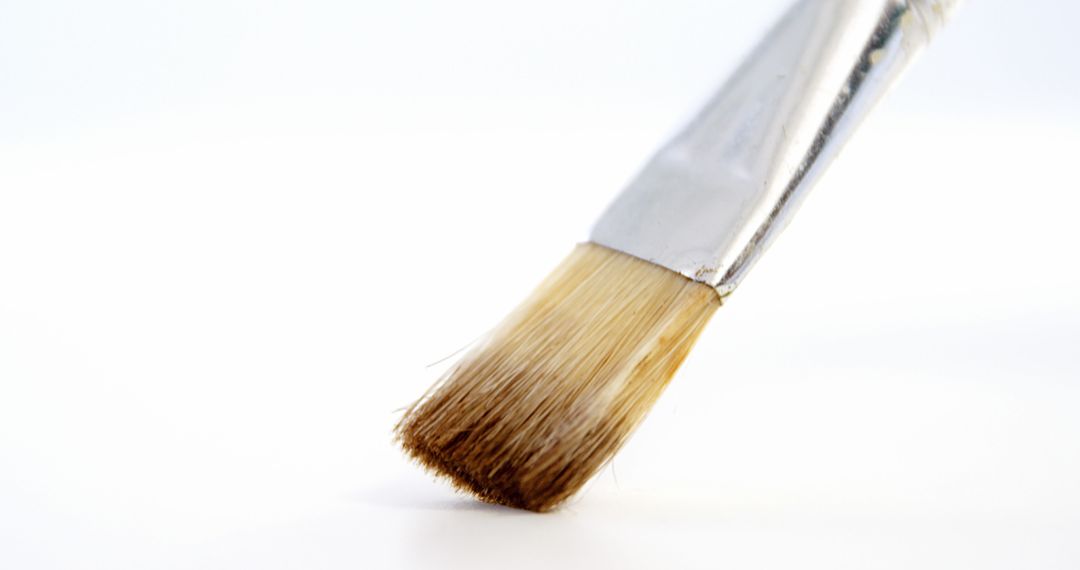 Close-up of Paintbrush with Fine Bristles Ready for Painting - Free Images, Stock Photos and Pictures on Pikwizard.com