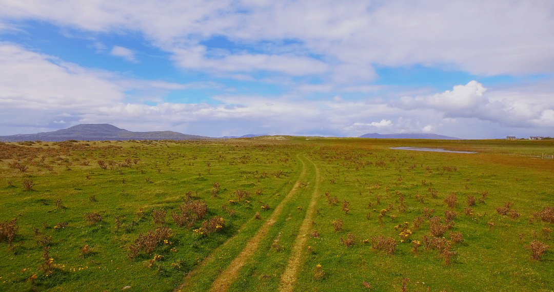 Wide Open Grassland with Track under Blue and Cloudy Skies