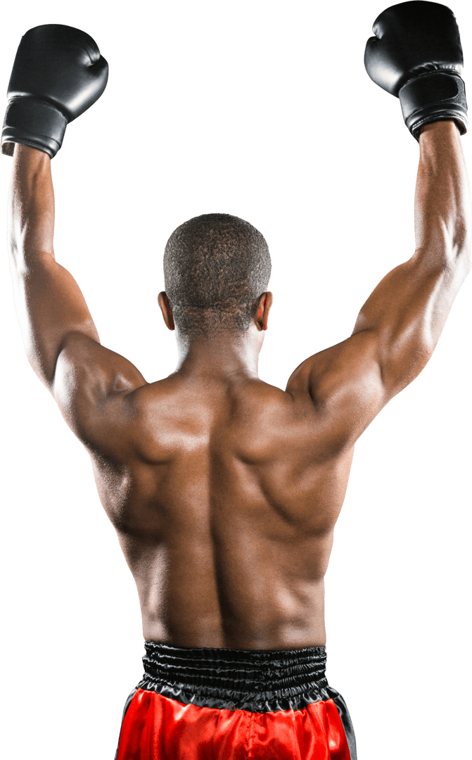 Triumphant Boxer with Raised Arms, Back View, Transparent Background