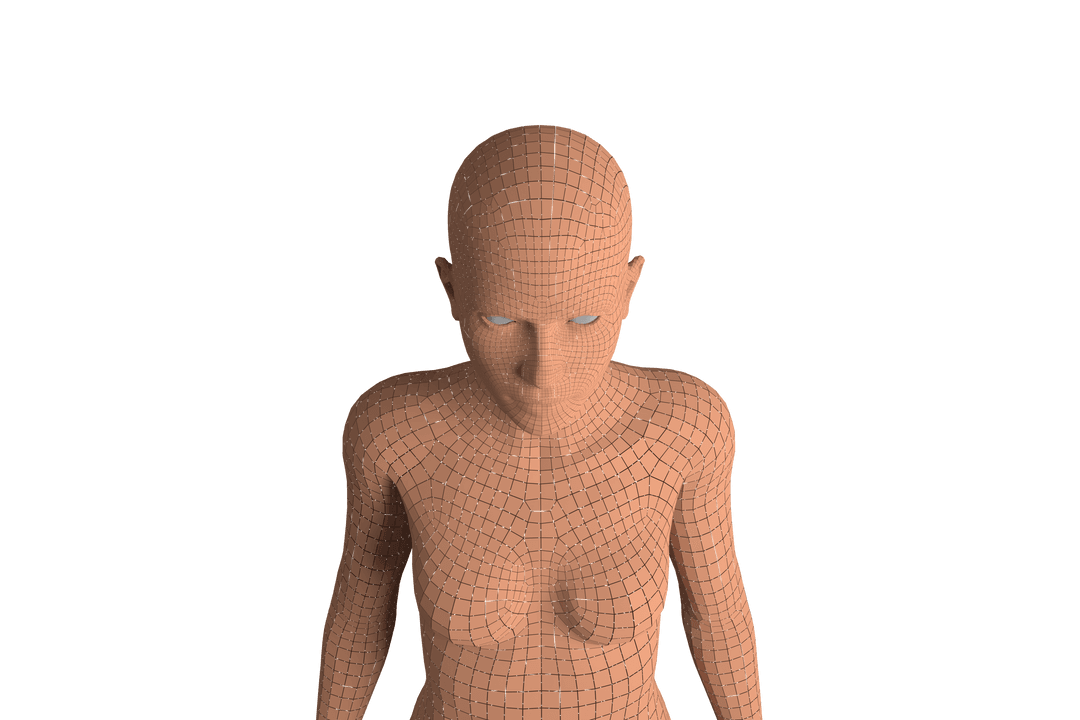 Digital Illustration of Human Wireframe on Transparent Background