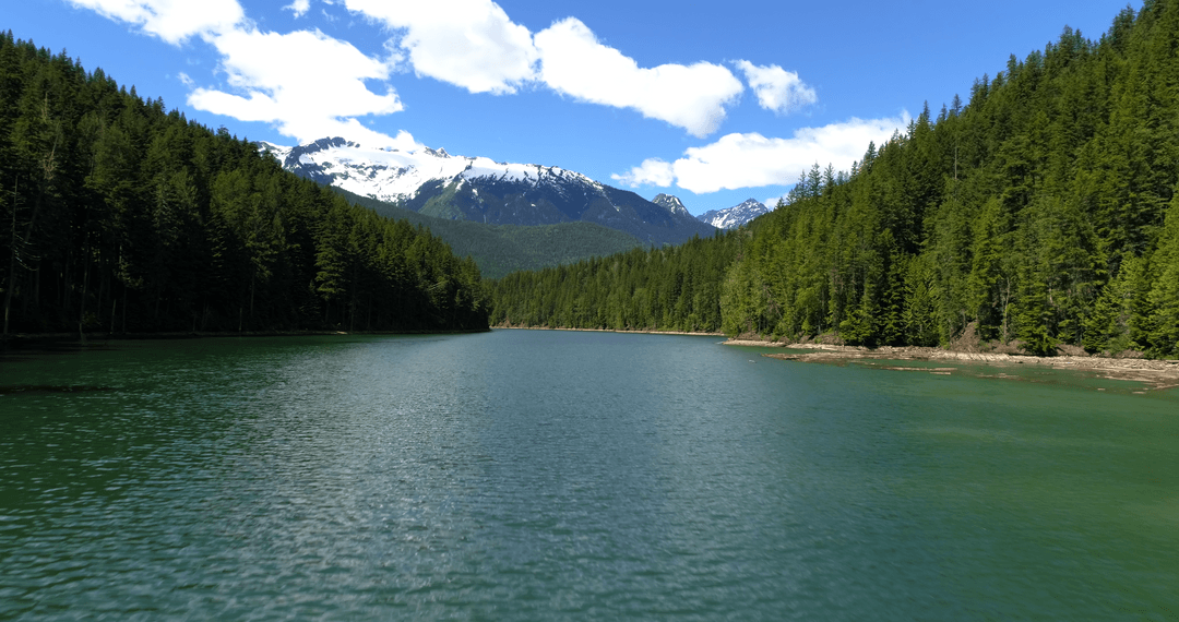 Clear Forest Lake with Transparent Mountain Reflection