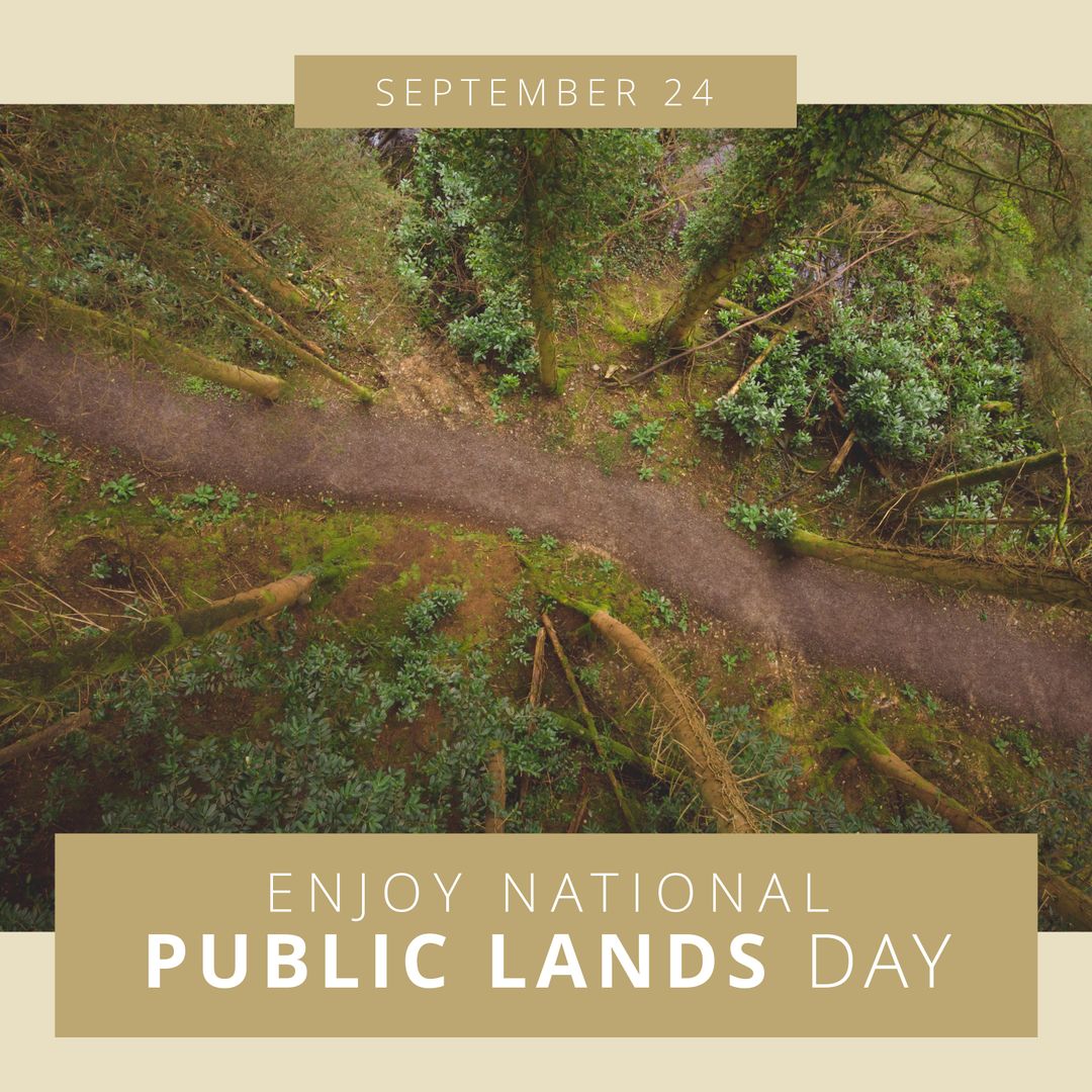 Scenic Forest Trail Celebrating National Public Lands Day