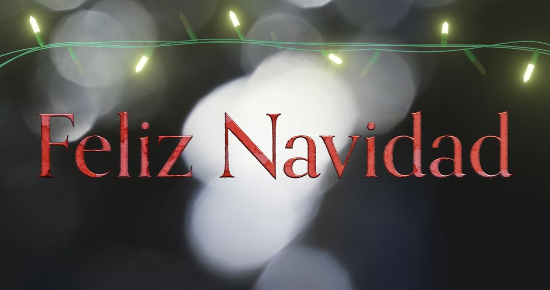 Festive Feliz Navidad with Glowing Fairy Lights