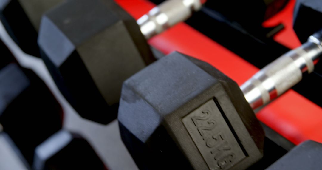 Close-up of Dumbbells Arranged in Gym Environment