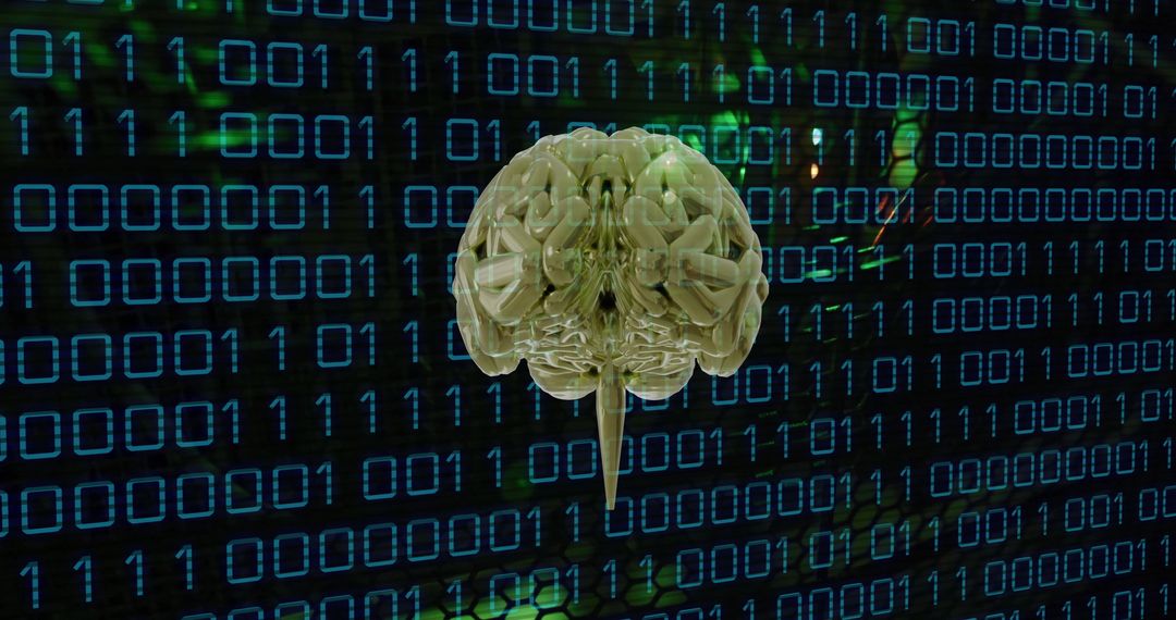 Digital Brain Overlay with Binary Code Background - Free Images, Stock Photos and Pictures on Pikwizard.com